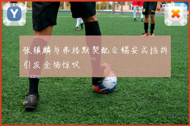 张镇麟与弗格默契配合锡安式挡拆引发全场惊叹