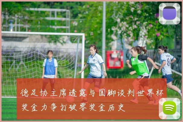 德足协主席透露与国脚谈判世界杯奖金力争打破零奖金历史